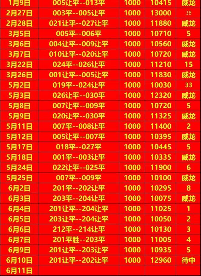 6.10威龙