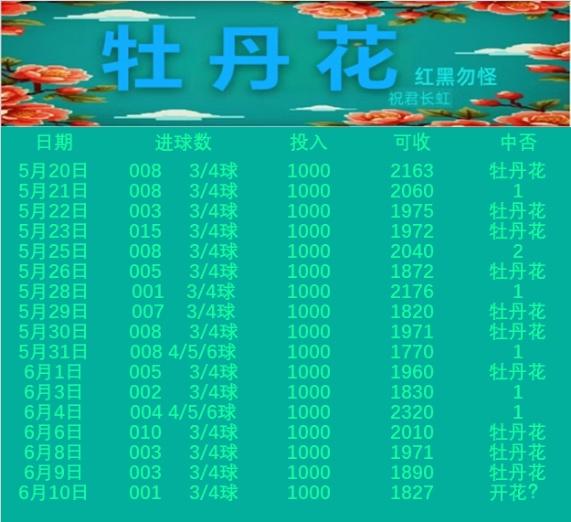 6.10牡丹花