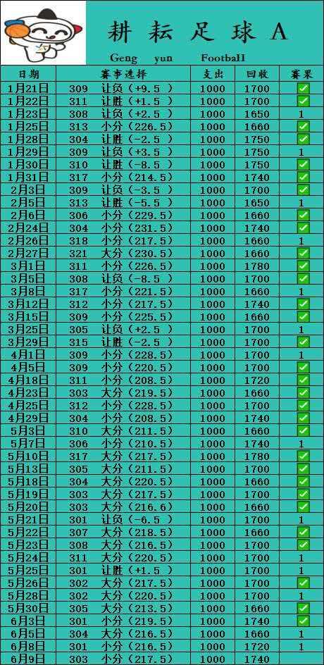 6.10耕耘足球A 更新