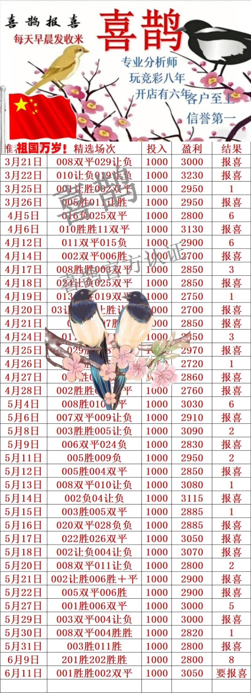 6.11喜鹊